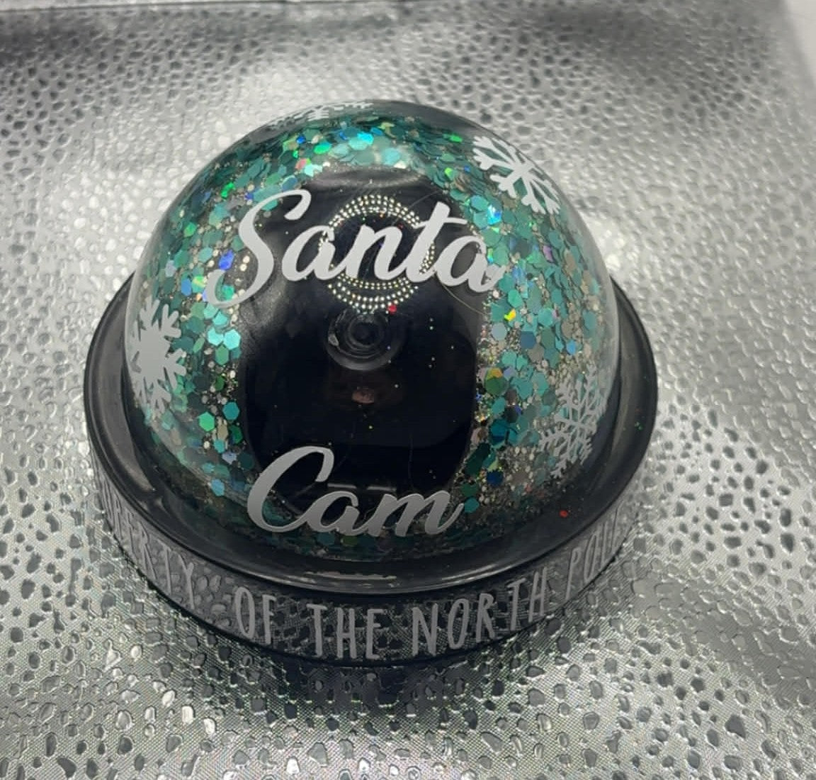Santa Cam